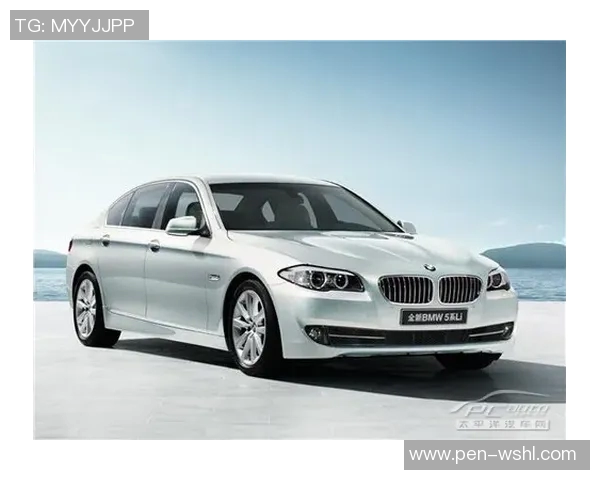 基于数据驱动的体育比赛胜负预测模型优化与动态更新研究