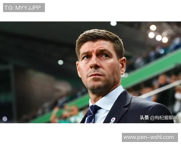 退役球星转型现状调查 退役球星转型现状调查